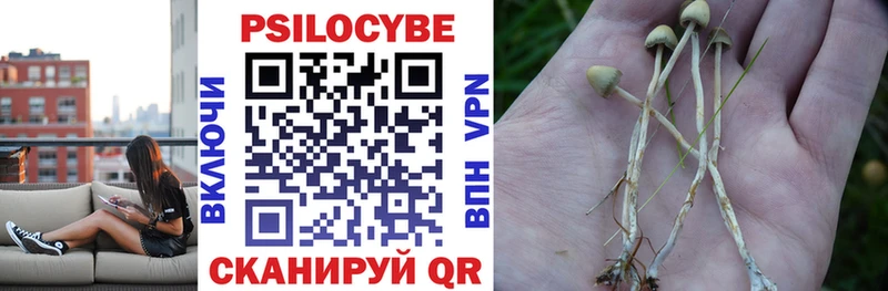 Купить  Луза  Псилоцибиновые грибы GOLDEN TEACHER 