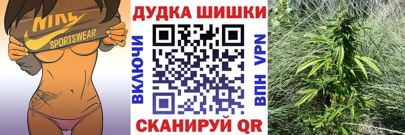 Шишки марихуана планчик  Купить  Луза 